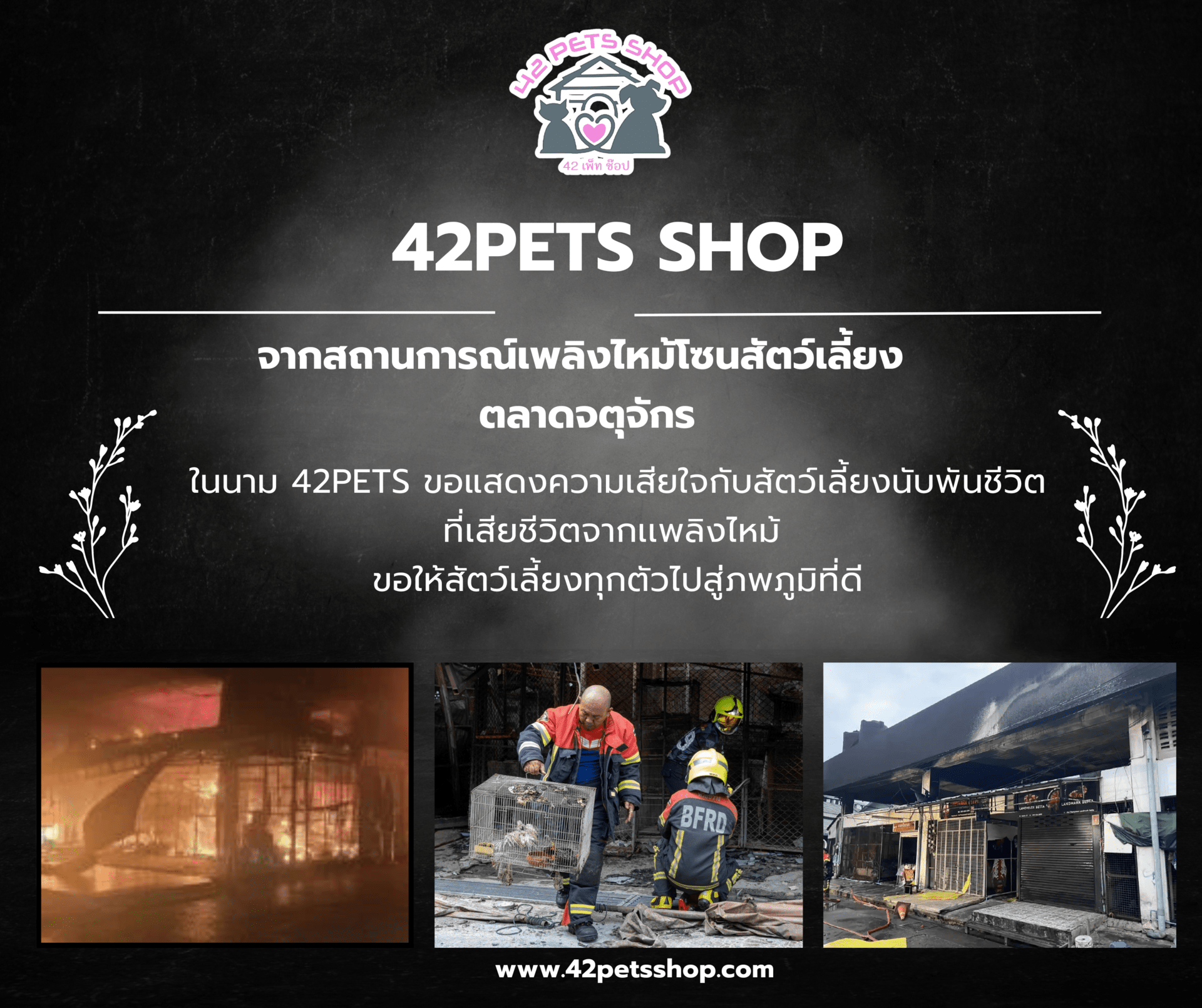 ในนาม 42Pets ขอไว้อาลัยให้กับสัตว์ทุกชนิดนับพันชีวิต