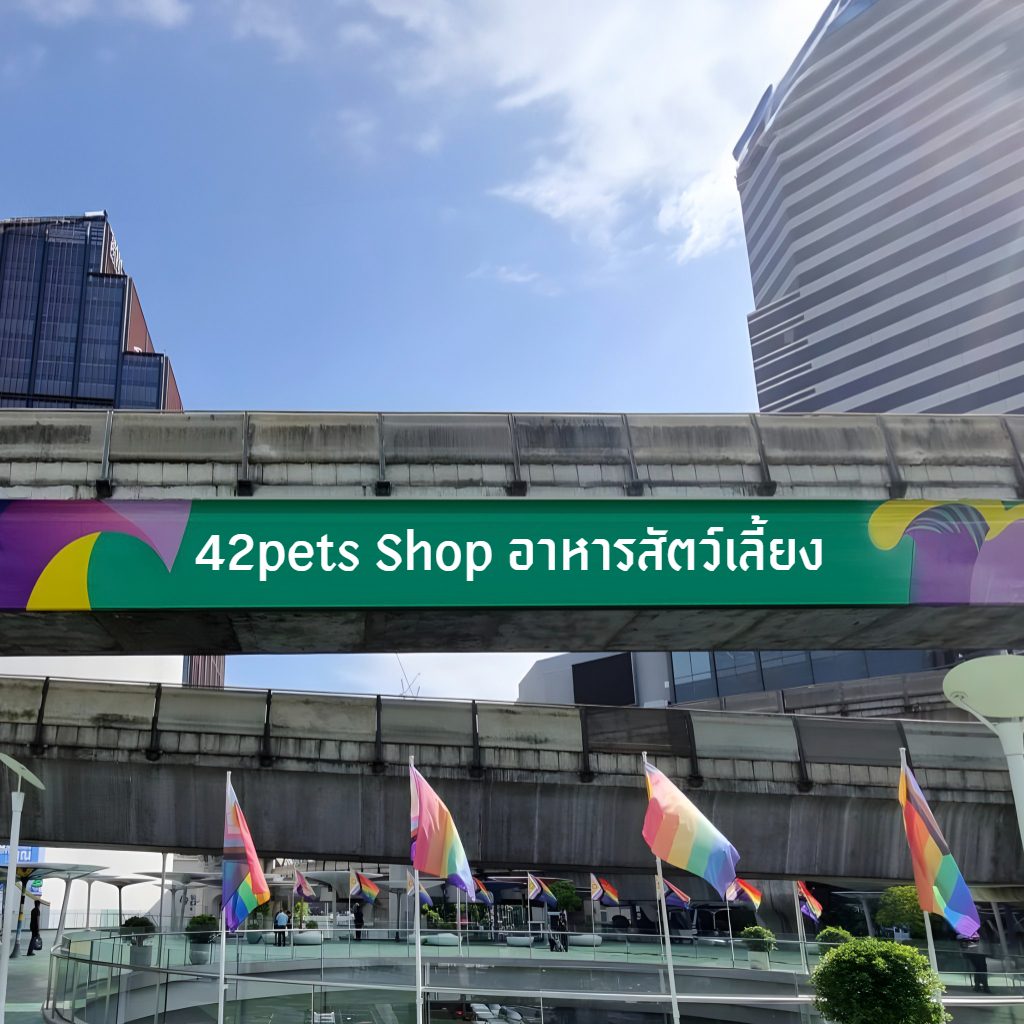 42Pets Shop ป้ายร้านอาหารสัตว์
