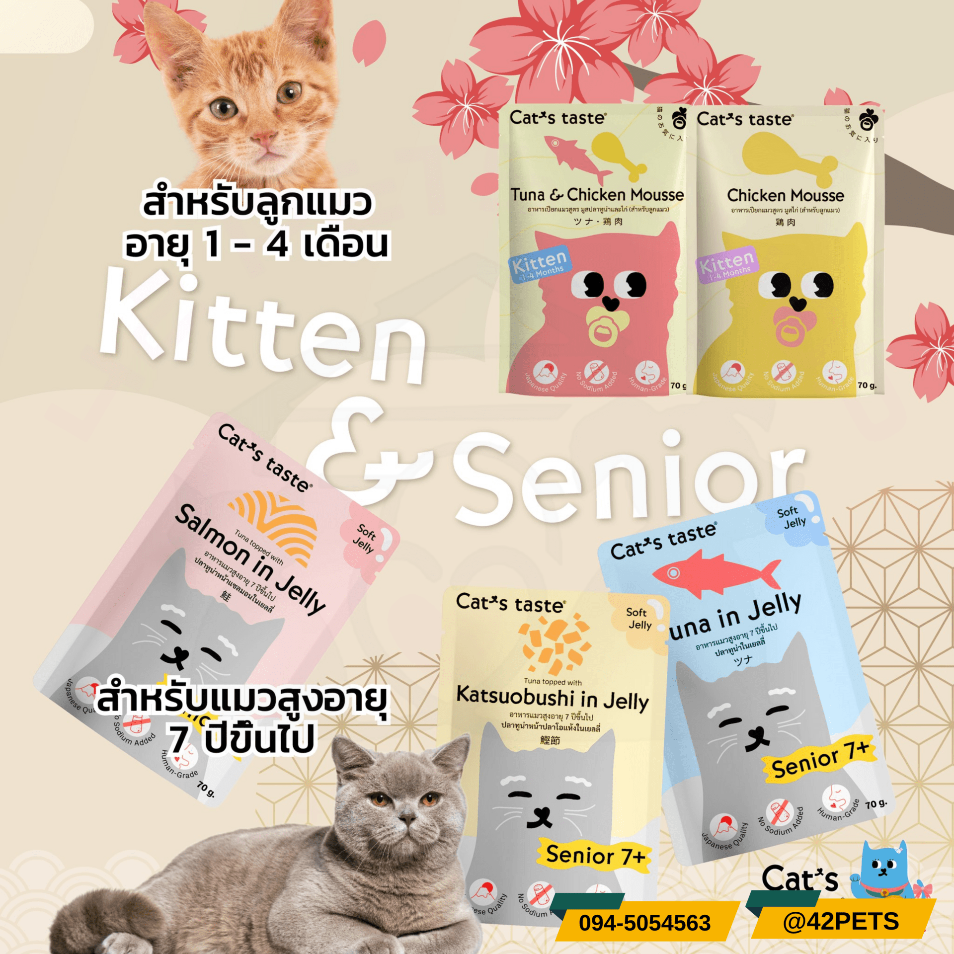 Cat’s Tast Kitten & Sernior อาหารเปียกสำหรับลูกแมวและแมว7+
