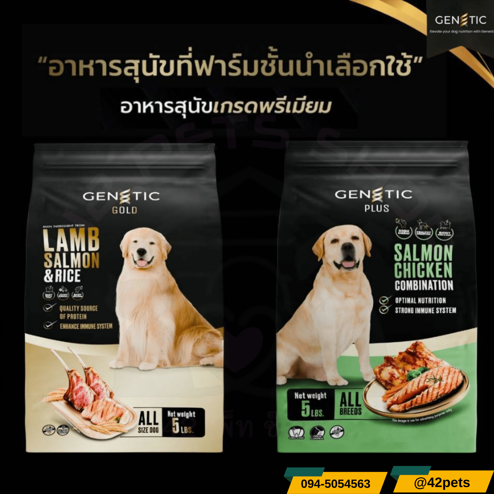 Genetic Gold แหล่งของโปรตีนที่ดี ด้วยส่วนผสมหลักจาก แกะ และ แซลมอน