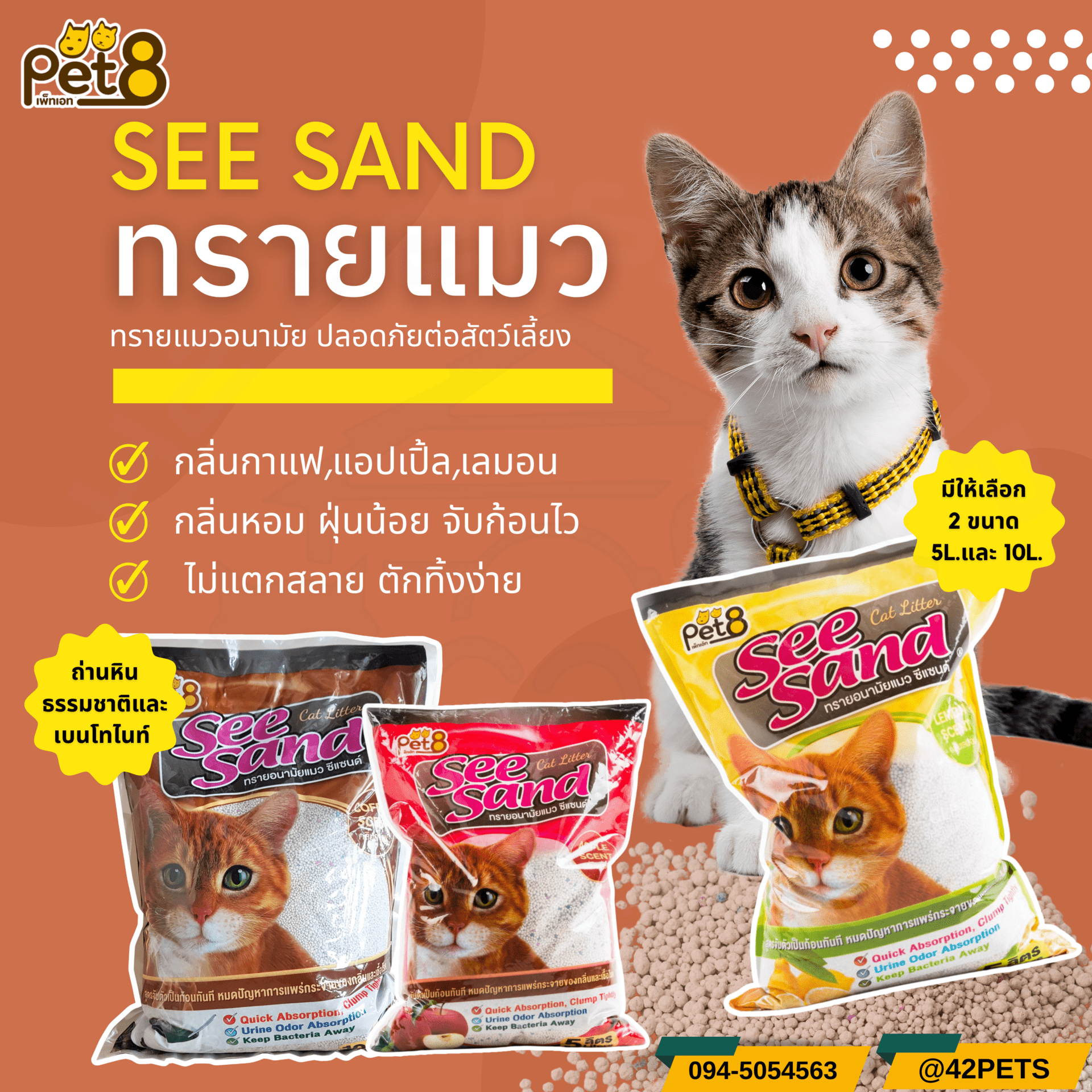 See sand ซีแซนด์ ทรายแมวอนามัย
