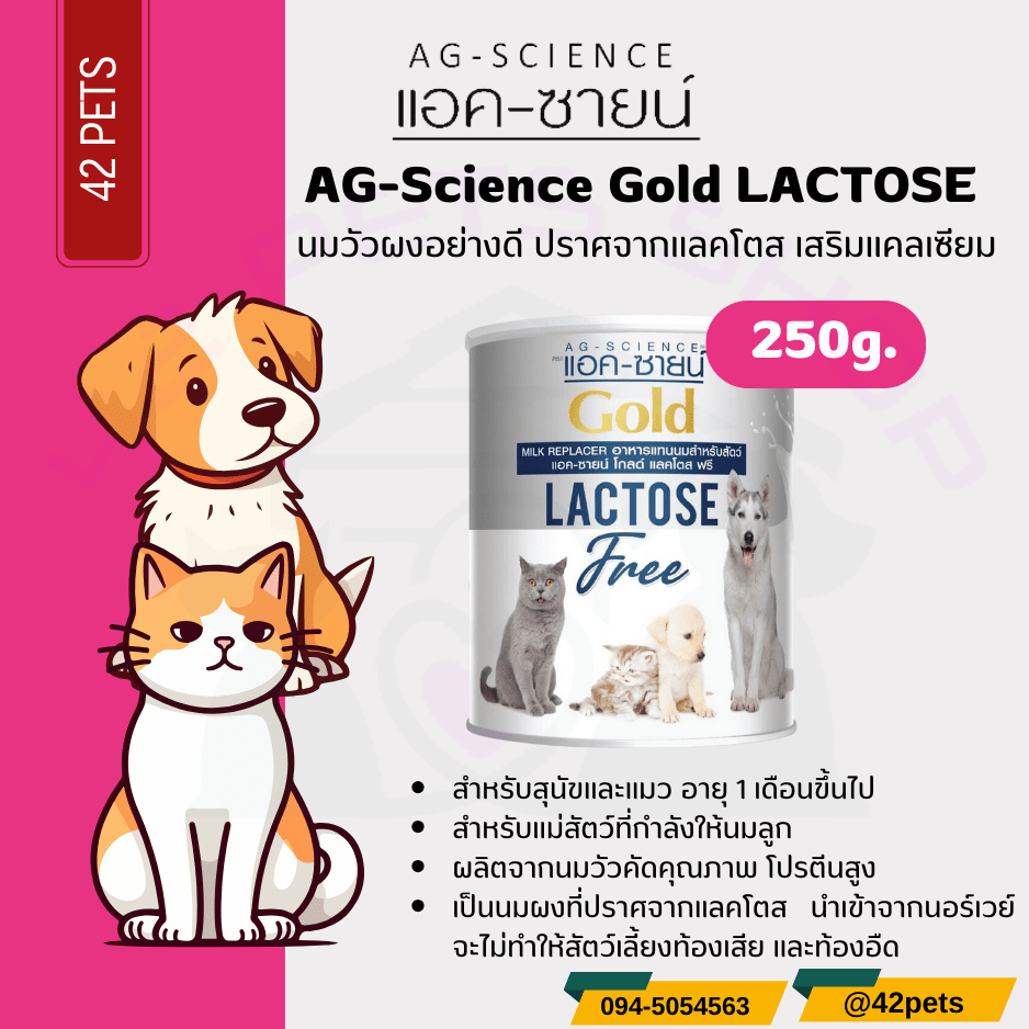 AG-SCIENCE Gold Lactose Free นมผง อาหารทดแทนนม ปริมาณ 200 กรัม