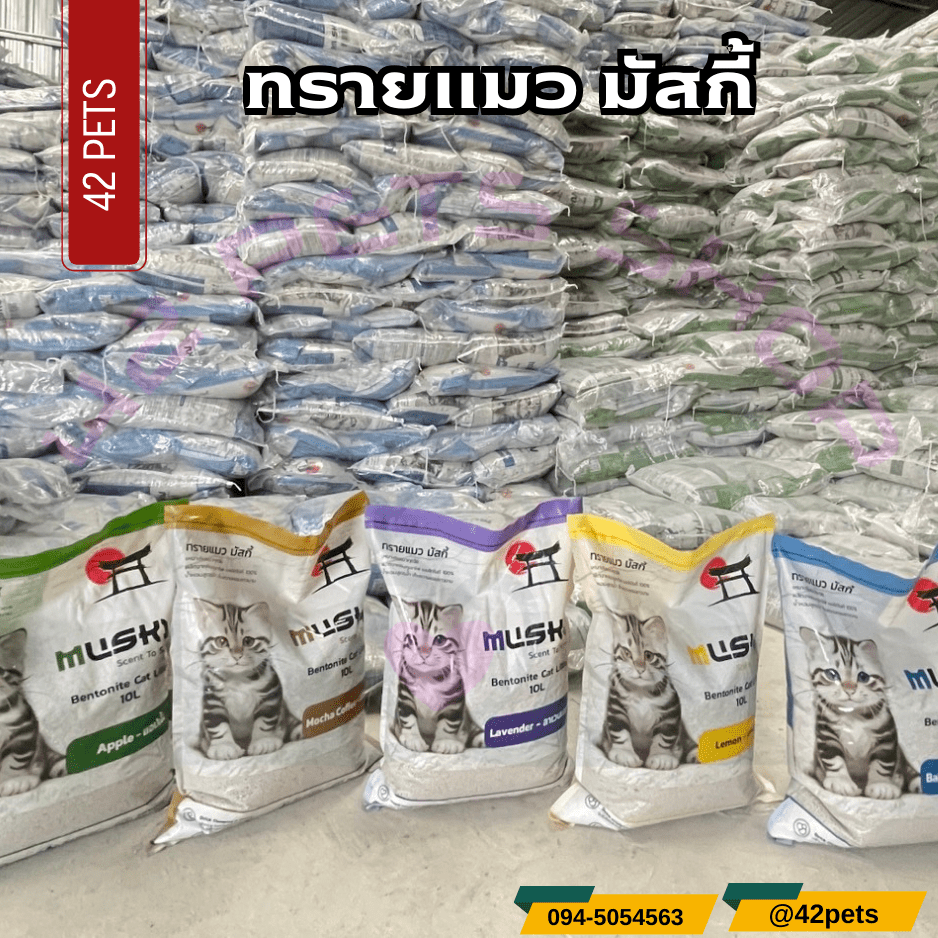 Musky มัสกี้ ทรายแมว 10L.