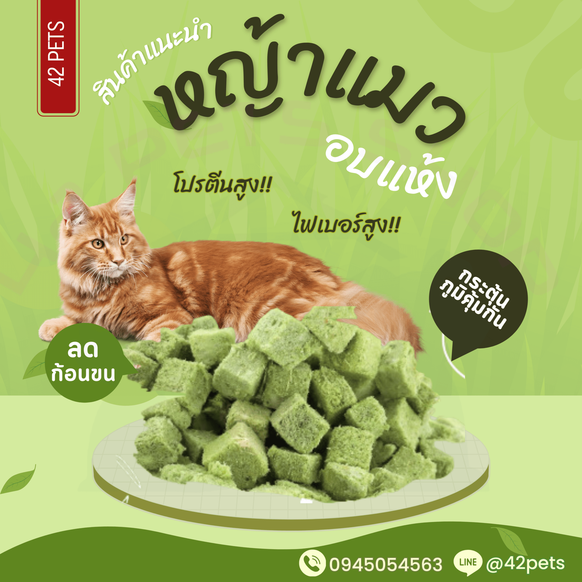 Nekko Jung หญ้าแมวอบแห้ง by.42petsshop