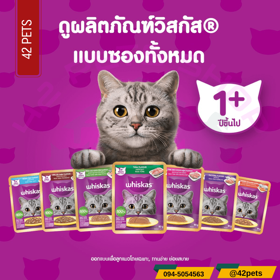 Whiskas อาหารเปียกสำหรับแมว 80g. (แมวเด็ก  แมวโต1  แมว7+)