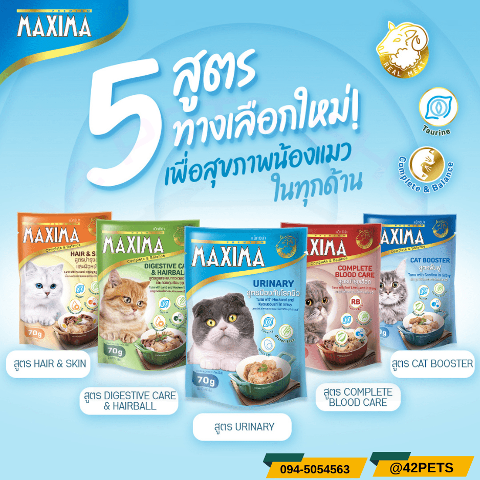 MAXIMA อาหารเปียกสำหรับแมว