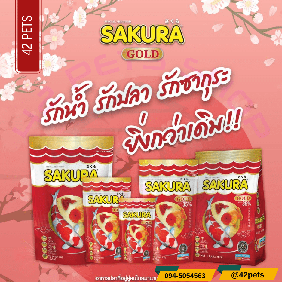 Sakura Gold อาหารปลา อาหารปลาซากุระ โกลด์ อาหารปลาคาร์ฟ ปลาทอง