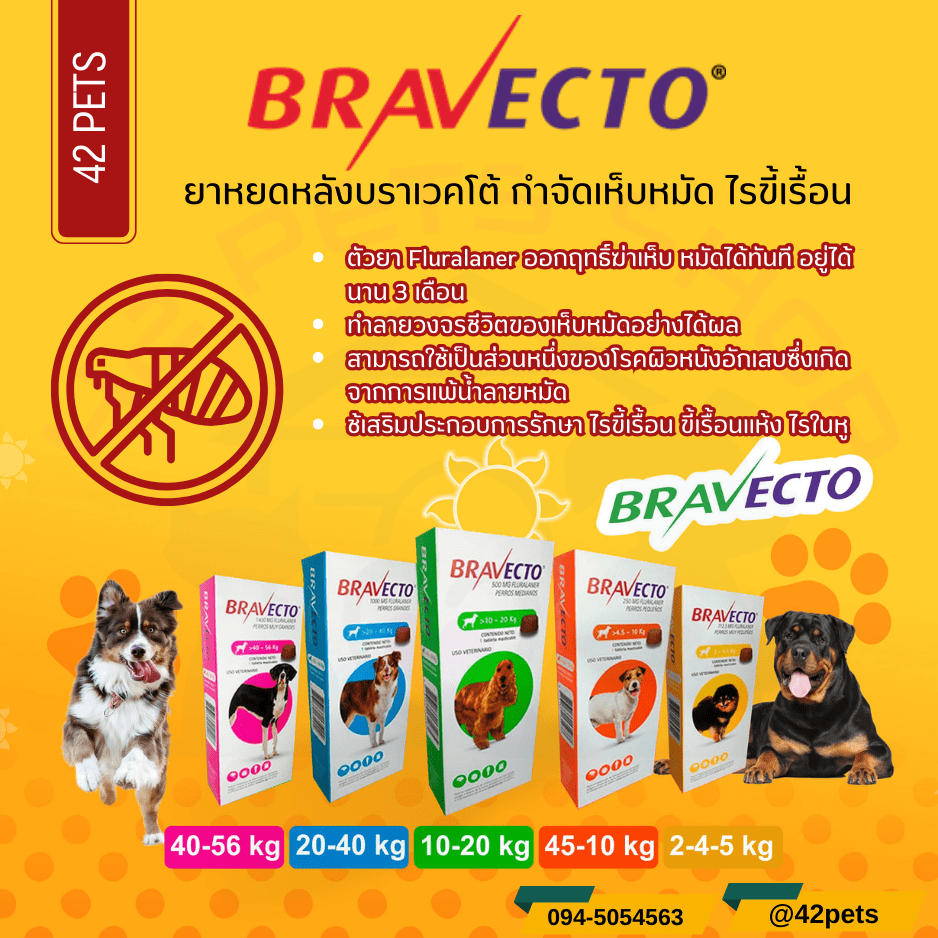 Bravevto ยากินกำจัดเห็บหมัด ขี้เรื้อนแห้ง ขี้เรื้อนเปียก