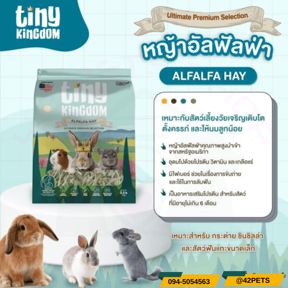 Tiny Kingdom หญ้าทีโมธี อัลติเมทพรีเมียม 500g หญ้ากระต่าย หญ้าแห้ง สำหรับกระต่ายและสัตว์ฟันแทะ