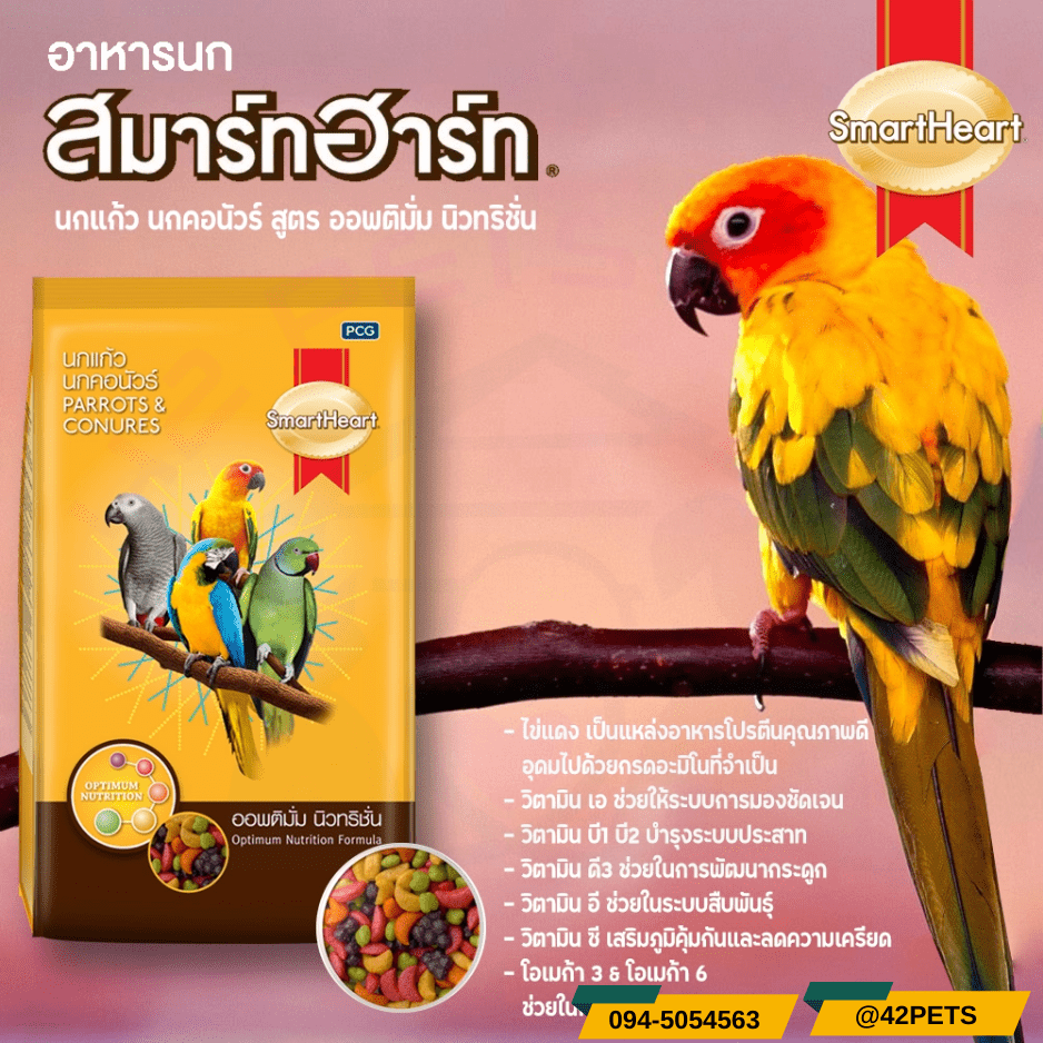 Smartheart  สมาร์ทฮาร์ท อาหารนกแก้ว นกคอนัวร์ สูตรออพติมั่ม