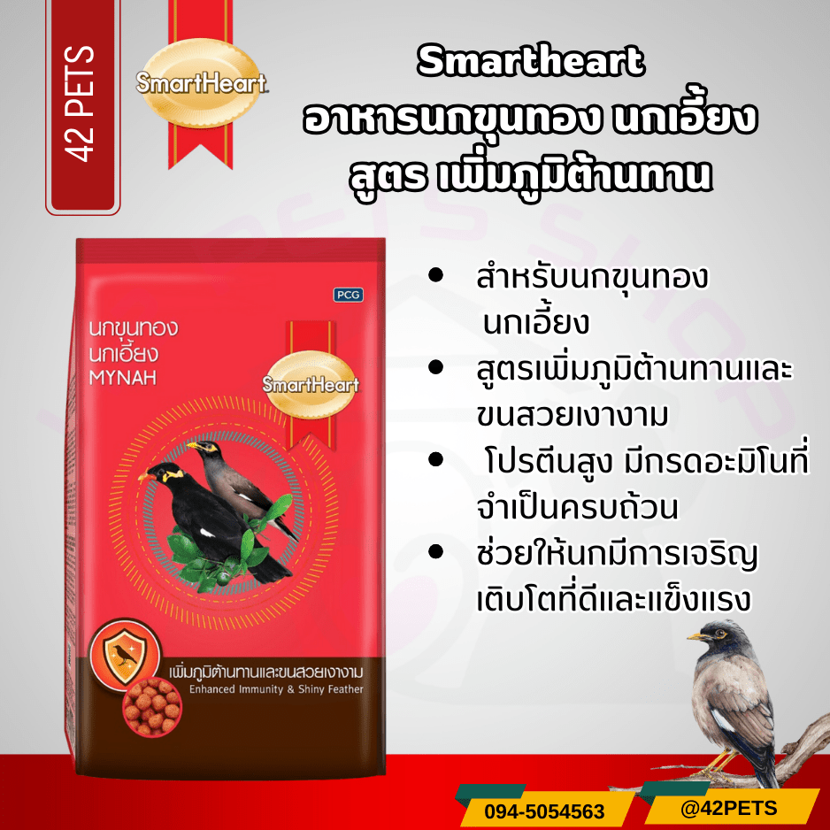 Smartheart  สมาร์ทฮาร์ท อาหารนกขุนทอง นกเอี้ยง นกขุนทอง ลูกนกตกรัง