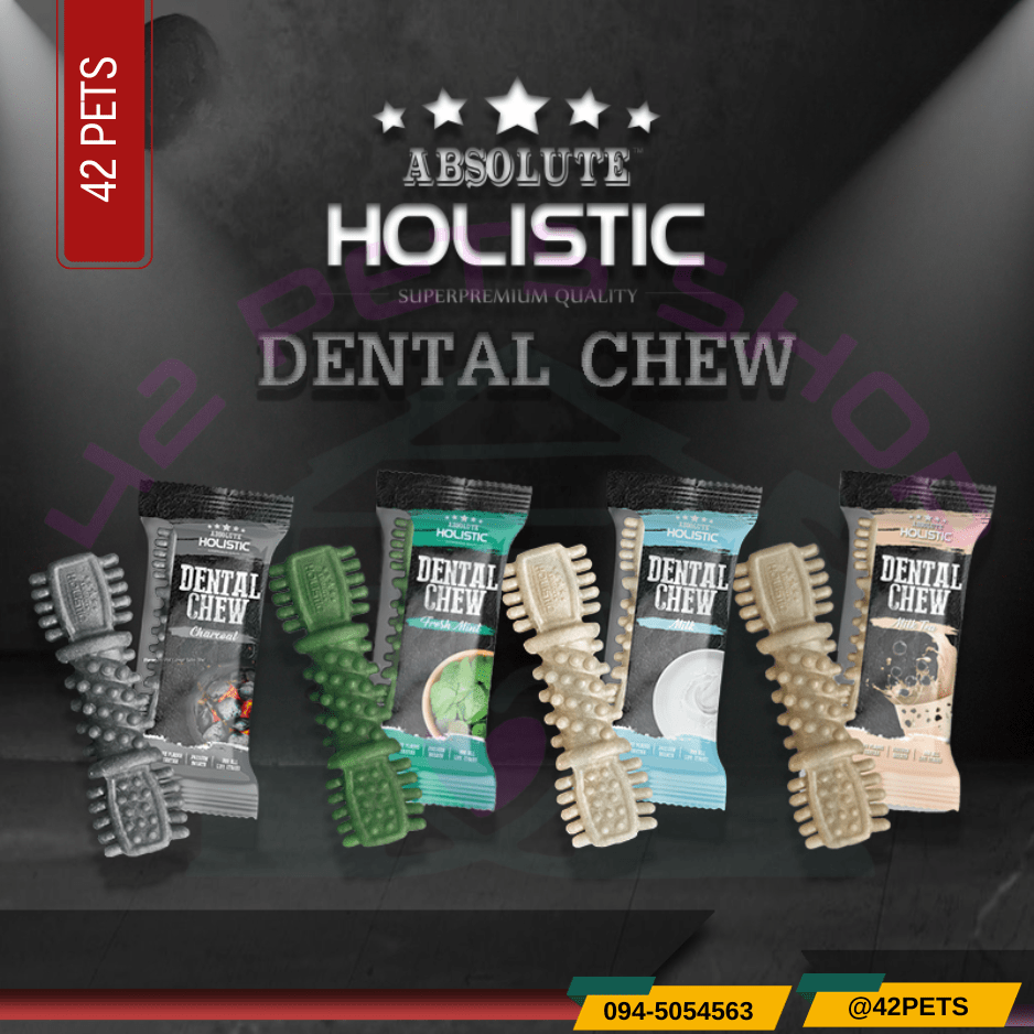 Holistic Absolute Dental Chew ขนมขัดฟันเพื่อสุขภาพ 25g.