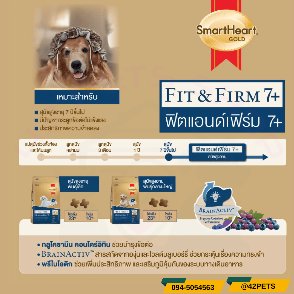 SmartHeart Gold. Fit&Firm AdultSenior7+ อาหารสุนัขสูงวัยพันธุ์ใหญ่และพันธุ์เล็ก7+