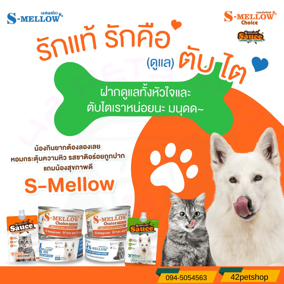 S-mellow เอสเมลโลว อาหารสำหรับสุนัข-แมว เสริมภูมิคุ้มกัน