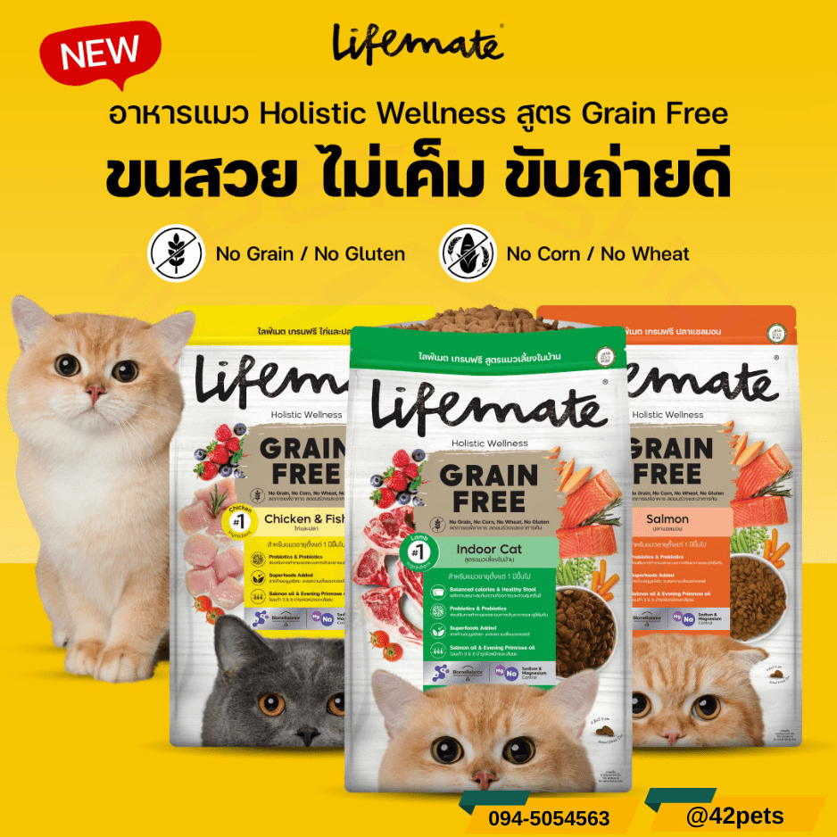 Lifemate Holistic Wellness สูตร Grain Free ขนสวย ไม่เค็ม ขับถ่ายดี ขนาด 1.2-1.3 กิโล