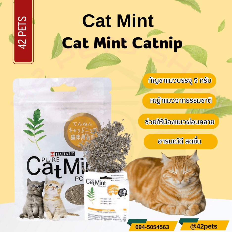Catmint กัญชาแมว แคทนิปแมวแบบผง