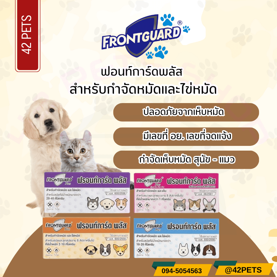 Frontguard Plus Cat Dog Dave ยากําจัดหมัด แมว สุนัข