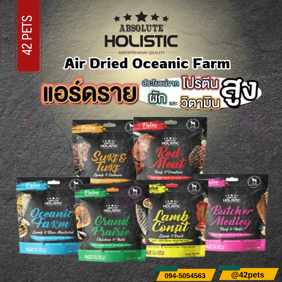 Holistic Absolute Air Dried ขนมสุนัขแอร์ดราย เกรนฟรี โปรตีนสูง ขนาด 100g