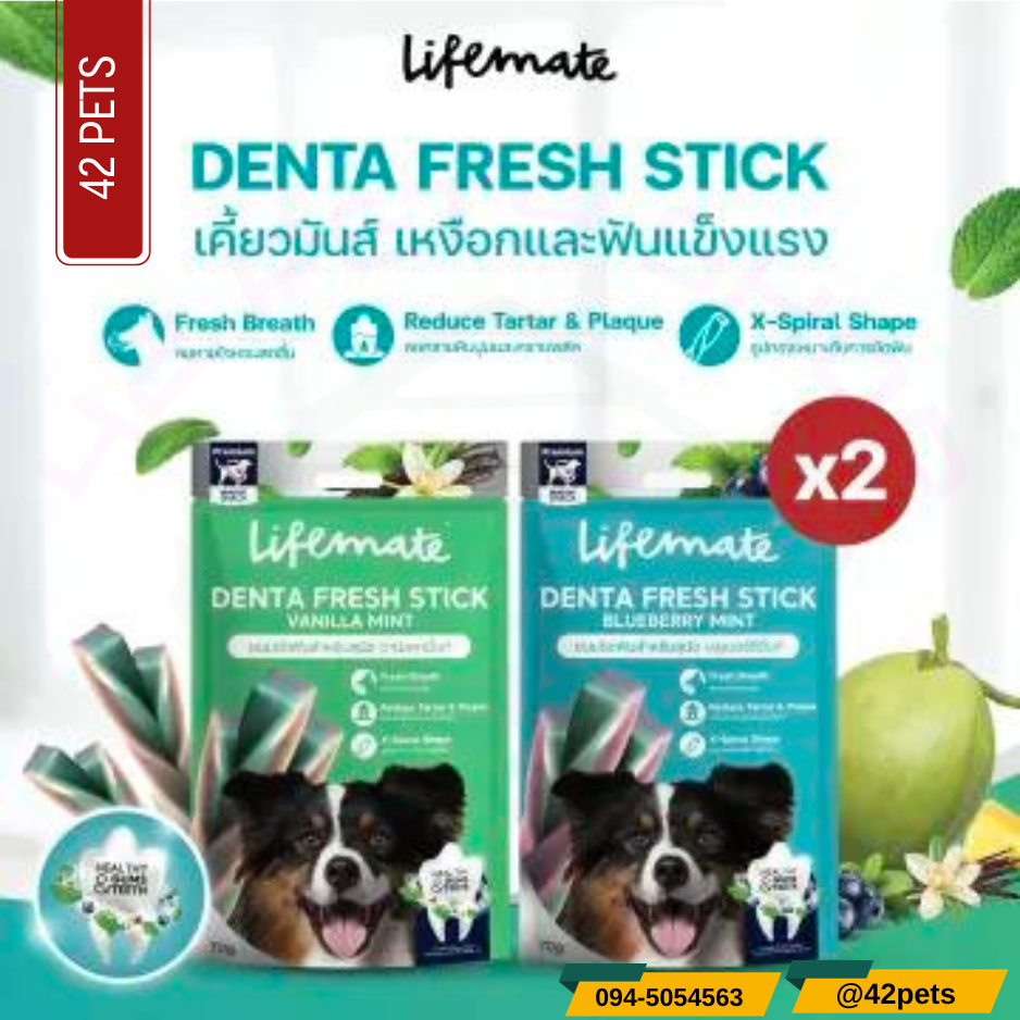 Lifemate Denta Fresh Stick ขนมขัดฟัน สำหรับสุนัข ลดคราบหินปูน ลมหายใจหอมสดชื่น ขนาด 70 g