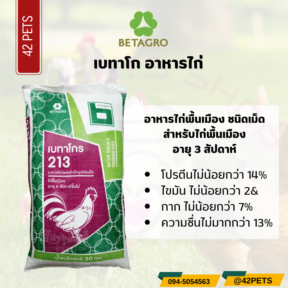 Betagro เบทาโกร สูตร 213 อาหารไก่พื้นเมือง