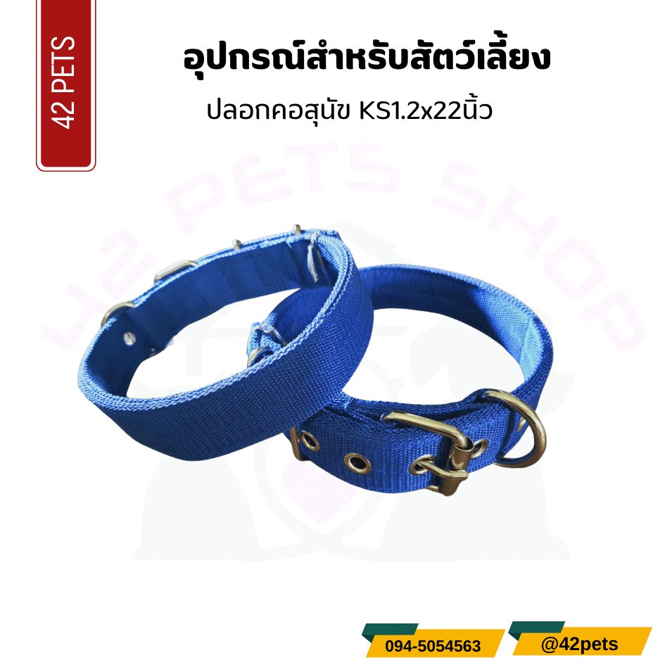 อุปกรณ์สำหรับสัตว์เลี้ยง – ปลอกคอสุนัข