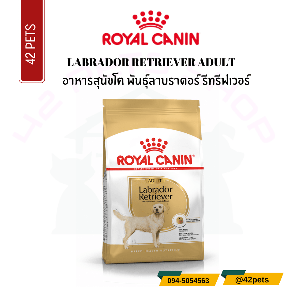 Royal Canin Food for Dog อาหารสุนัขโต พันธุ์ลาบราดอร์ รีทรีฟเวอร์ ชนิดเม็ด (LABRADOR RETRIEVER ADULT)
