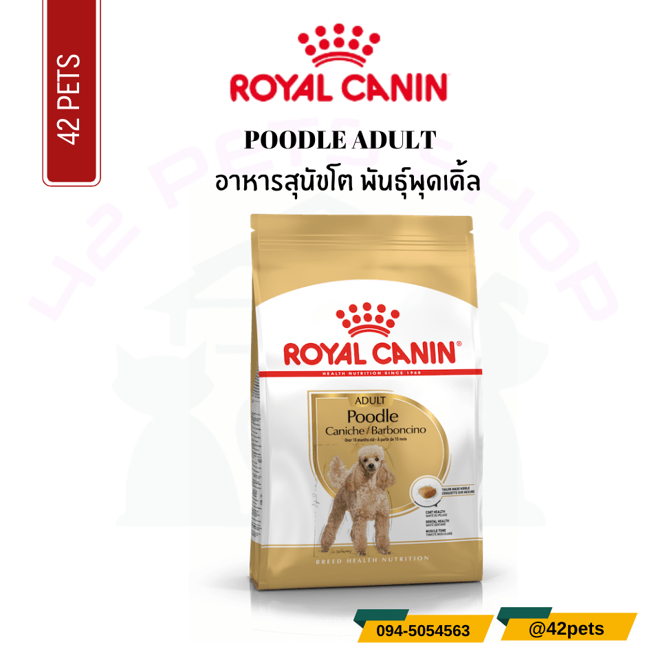 Royal Canin Food for Dog อาหารสุนัขโต พันธุ์พุดเดิ้ล ชนิดเม็ด (POODLE ADULT)