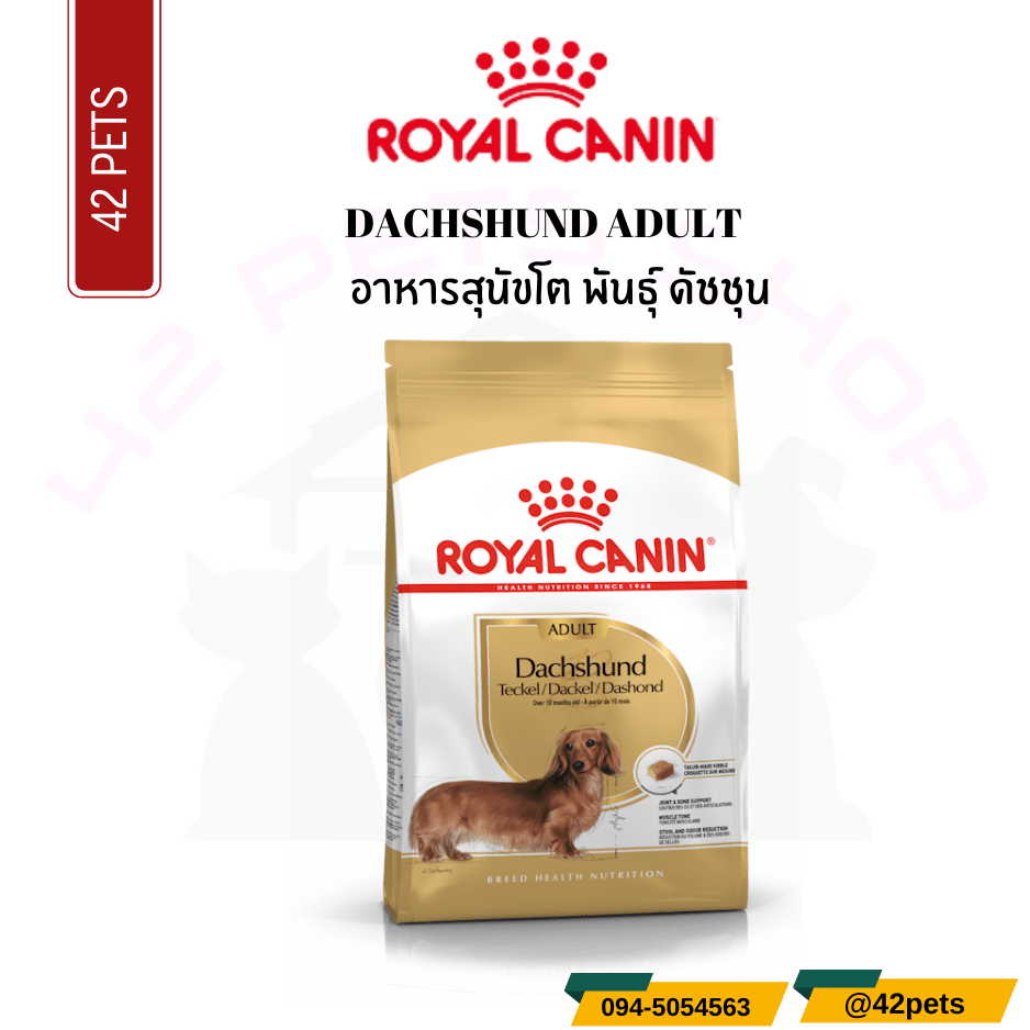 Royal Canin Food for Dog อาหารสุนัขโต พันธุ์ ดัชชุน ชนิดเม็ด (DACHSHUND ADULT)