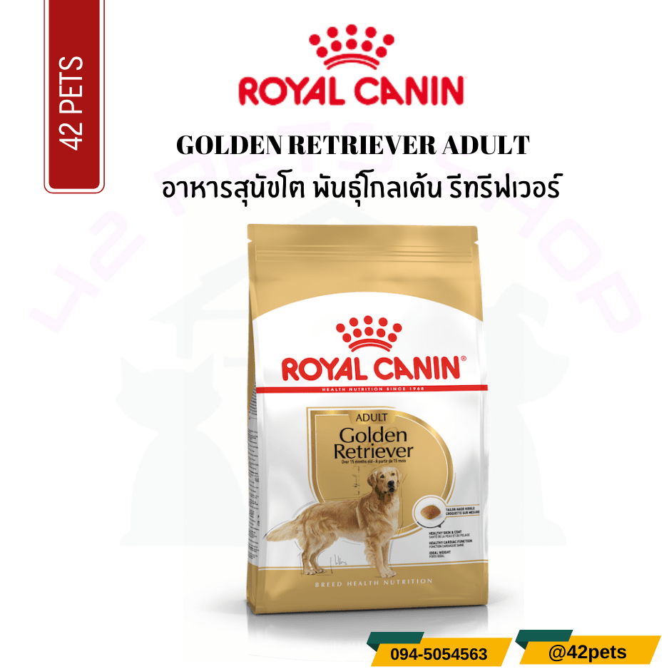 Royal Canin Food for Dog อาหารสุนัขโต พันธุ์โกลเด้น รีทรีฟเวอร์ ชนิดเม็ด (GOLDEN RETRIEVER ADULT)