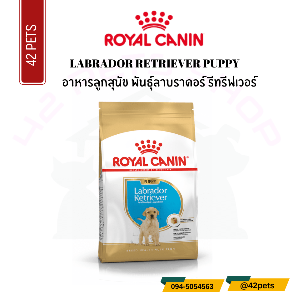 Royal Canin Food for Dog อาหารลูกสุนัข พันธุ์ลาบราดอร์ รีทรีฟเวอร์ ชนิดเม็ด (LABRADOR RETRIEVER PUPPY)