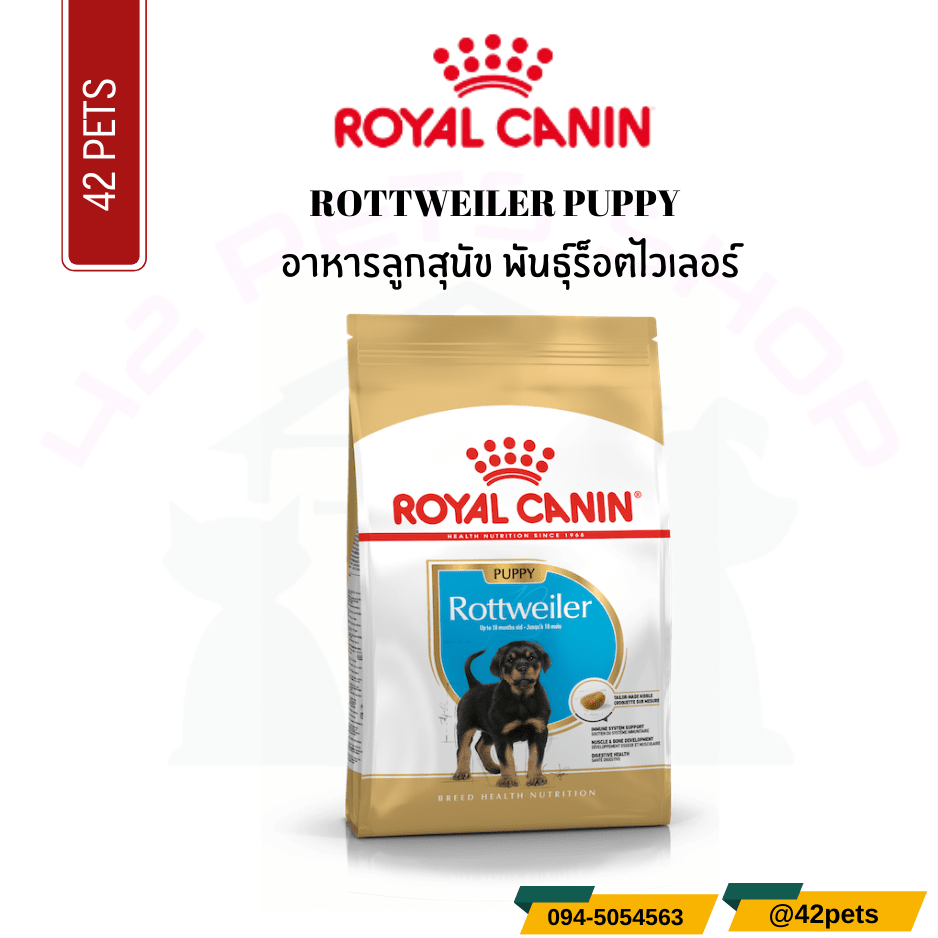 Royal Canin Food for Dog เสริมสร้างภูมิคุ้มกัน