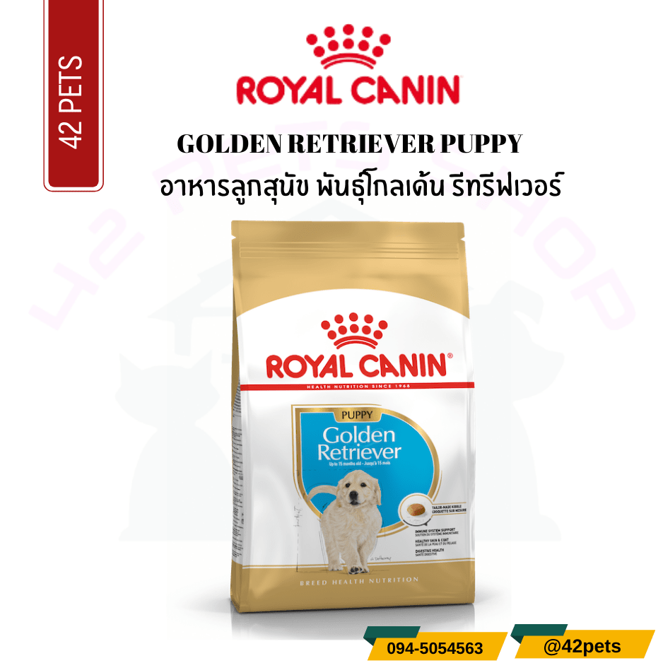 Royal Canin Food for Dog อาหารลูกสุนัข พันธุ์โกลเด้น รีทรีฟเวอร์ ชนิดเม็ด (GOLDEN RETRIEVER PUPPY)