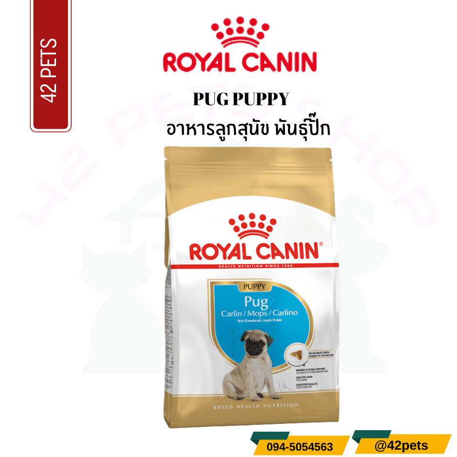 Royal Canin Food for Dog อาหารลูกสุนัข พันธุ์แจ็ค รัสเซลล์ เทอร์เรีย ชนิดเม็ด (JACK RUSSELL TERRIER PUPPY)