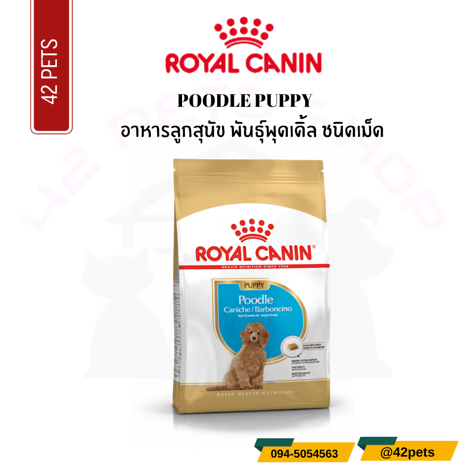 Royal Canin Food for Dog   อาหารลูกสุนัข พันธุ์พุดเดิ้ล ชนิดเม็ด (POODLE PUPPY)