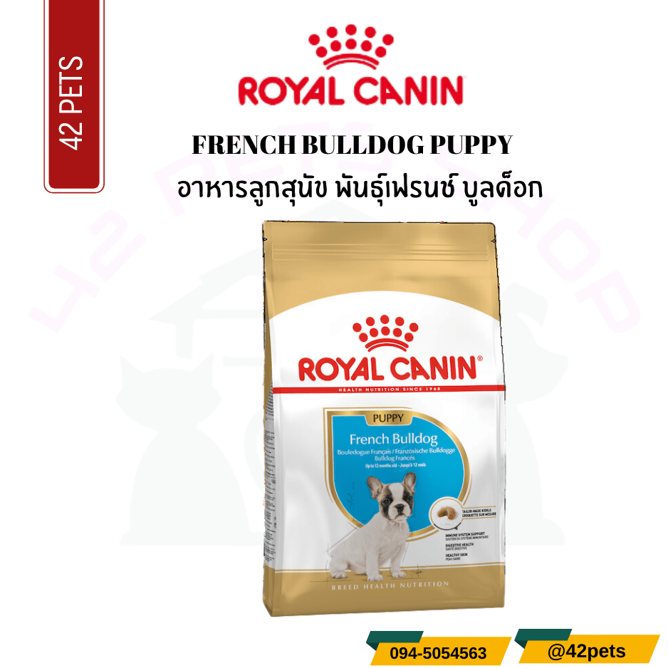 Royal Canin Food for Dog  French Bulldog Puppy อาหารสุนัขพันธุ์ เฟรนซ์ บลูด็อก