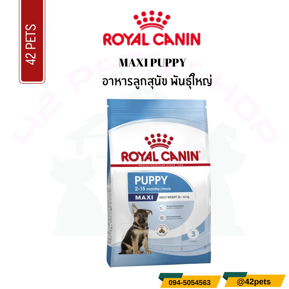 Royal Canin Food for Dog อาหารลูกสุนัข พันธุ์ใหญ่ ชนิดเม็ด (MAXI PUPPY)