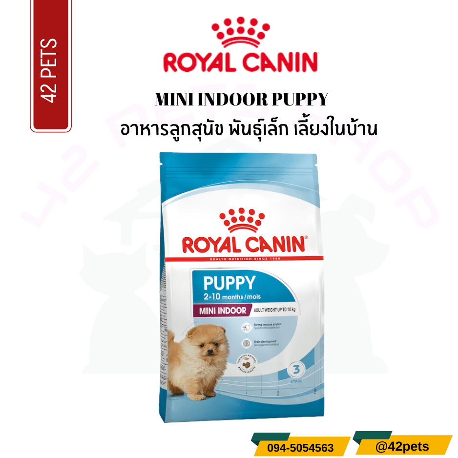Royal Canin Food for Dog  อาหารลูกสุนัข พันธุ์เล็ก เลี้ยงในบ้าน ชนิดเม็ด (MINI INDOOR PUPPY)
