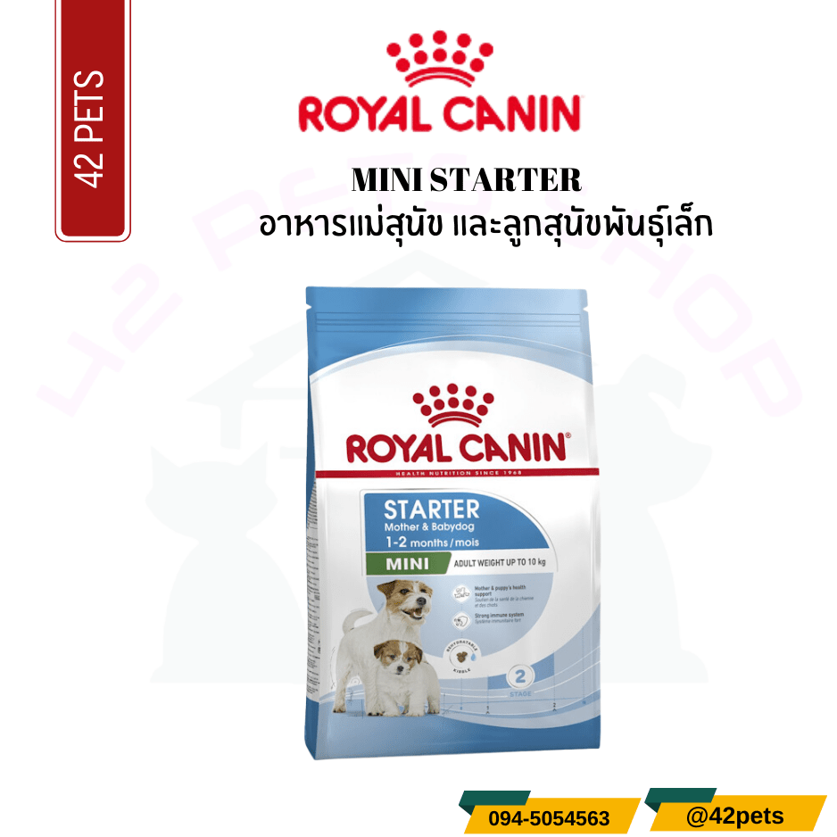 Royal Canin Food for Dog   อาหารแม่สุนัข และลูกสุนัขพันธุ์เล็ก ชนิดเม็ด (MINI STARTER)