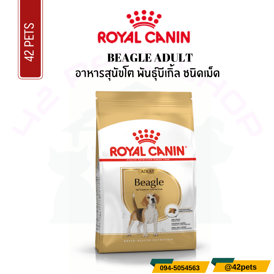 Royal Canin Food for Dog   อาหารสุนัขโต พันธุ์บีเกิ้ล ชนิดเม็ด (BEAGLE ADULT)