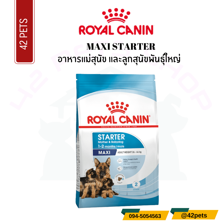 Royal Canin Food for Dog  อาหารแม่สุนัข และลูกสุนัขพันธุ์ใหญ่ ชนิดเม็ด (MAXI STARTER)