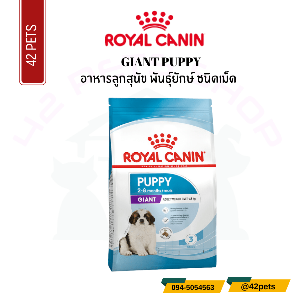 Royal Canin Food for Dog อาหารลูกสุนัข พันธุ์ยักษ์ ชนิดเม็ด (GIANT PUPPY)