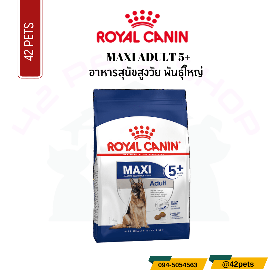 Royal Canin Food for Dog อาหารสุนัขสูงวัย พันธุ์ใหญ่ ชนิดเม็ด (MAXI ADULT 5+)