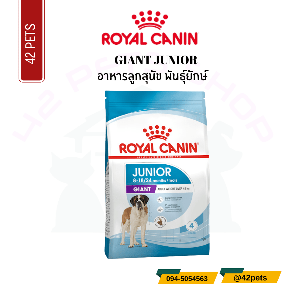 Royal Canin Food for Dog  อาหารลูกสุนัข พันธุ์ยักษ์ ชนิดเม็ด (GIANT JUNIOR)