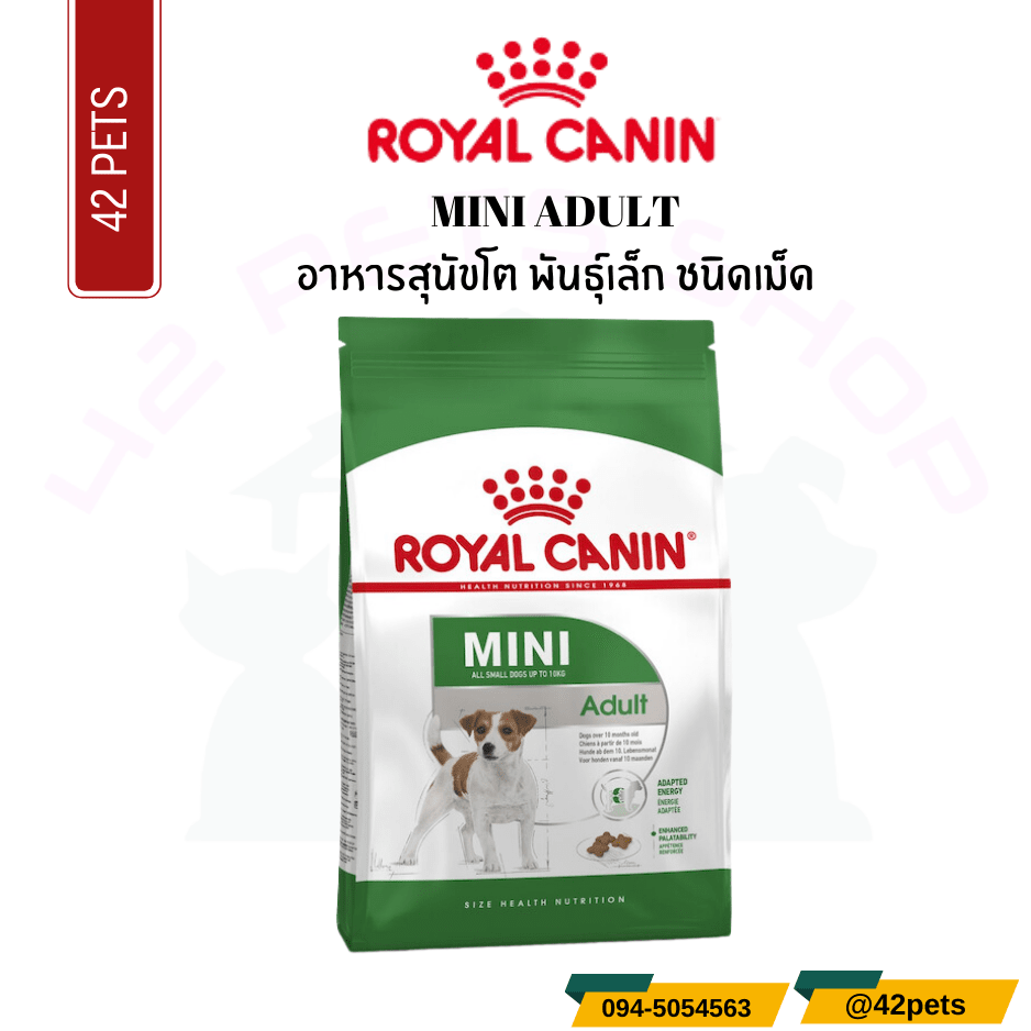 Royal Canin Food for Dog  อาหารสุนัขโต พันธุ์เล็ก ชนิดเม็ด (MINI ADULT)