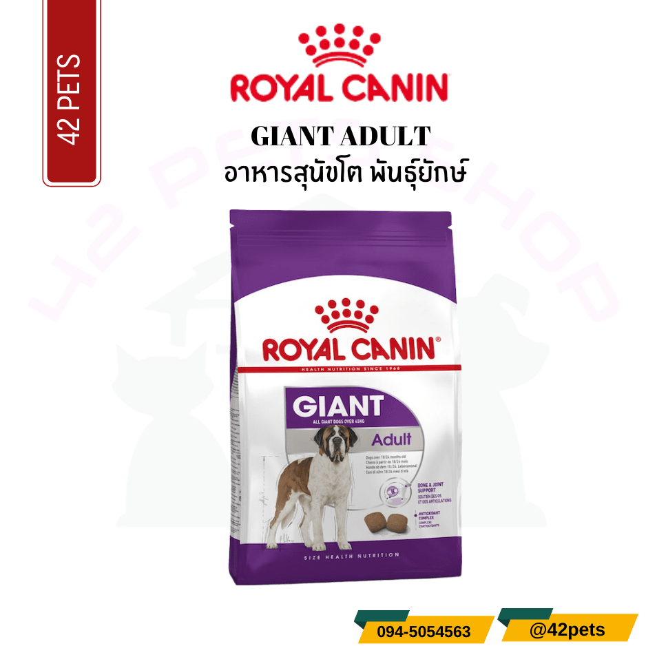 Royal Canin Food for Dog อาหารสุนัขโต พันธุ์ยักษ์ ชนิดเม็ด (GIANT ADULT)