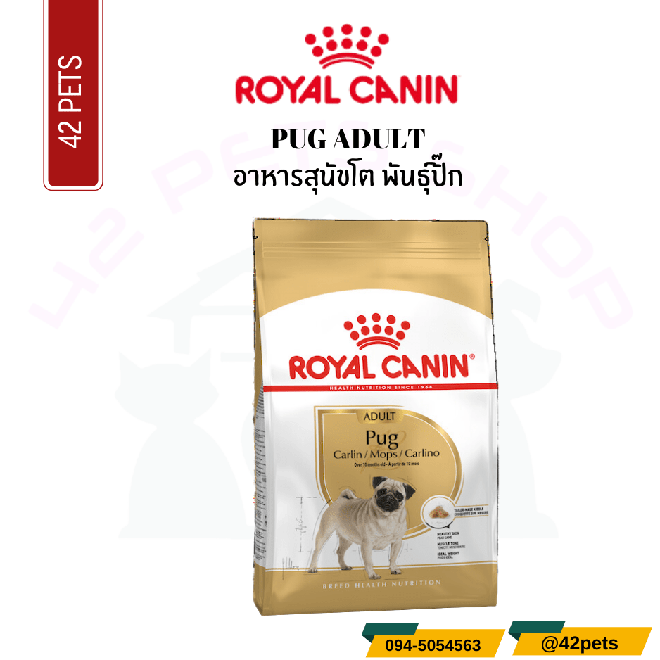 Royal Canin Food for Dog  อาหารสุนัขโต พันธุ์ปั๊ก ชนิดเม็ด (PUG ADULT)