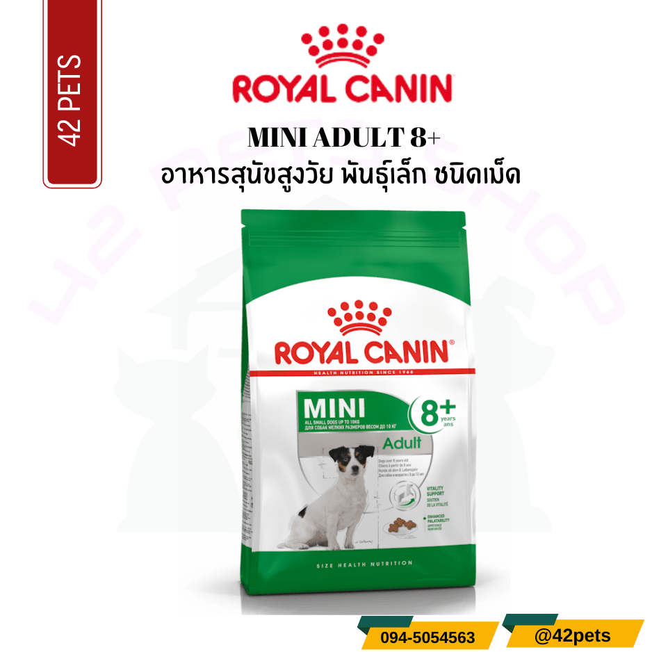 Royal Canin Food for Dog อาหารสุนัขสูงวัย พันธุ์เล็ก ชนิดเม็ด (MINI ADULT 8+)