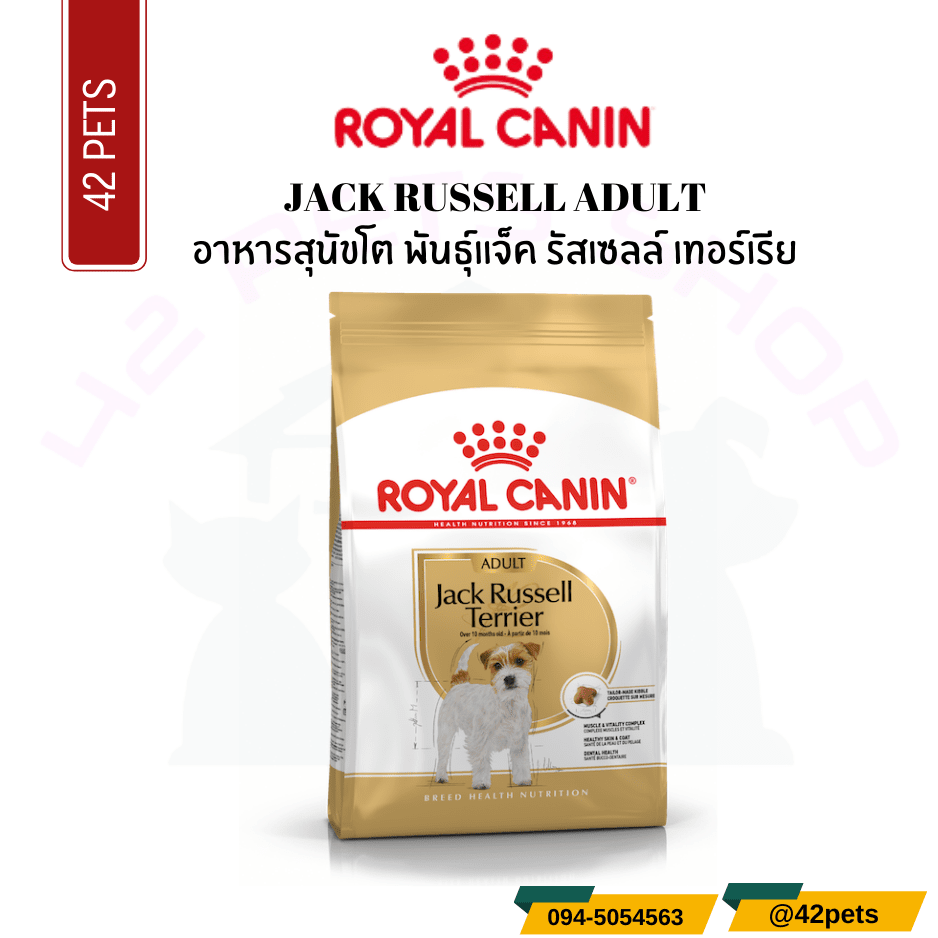 Royal Canin Food for Dog อาหารสุนัขโต พันธุ์แจ็ค รัสเซลล์ เทอร์เรีย ชนิดเม็ด (JACK RUSSELL ADULT)