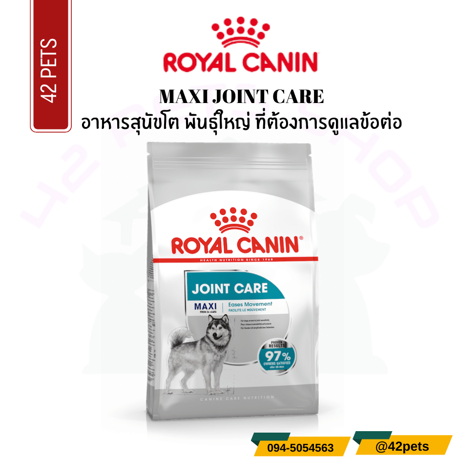 Royal Canin Food for Dog อาหารสุนัขโต พันธุ์ใหญ่ ที่ต้องการดูแลข้อต่อ ชนิดเม็ด (MAXI JOINT CARE)