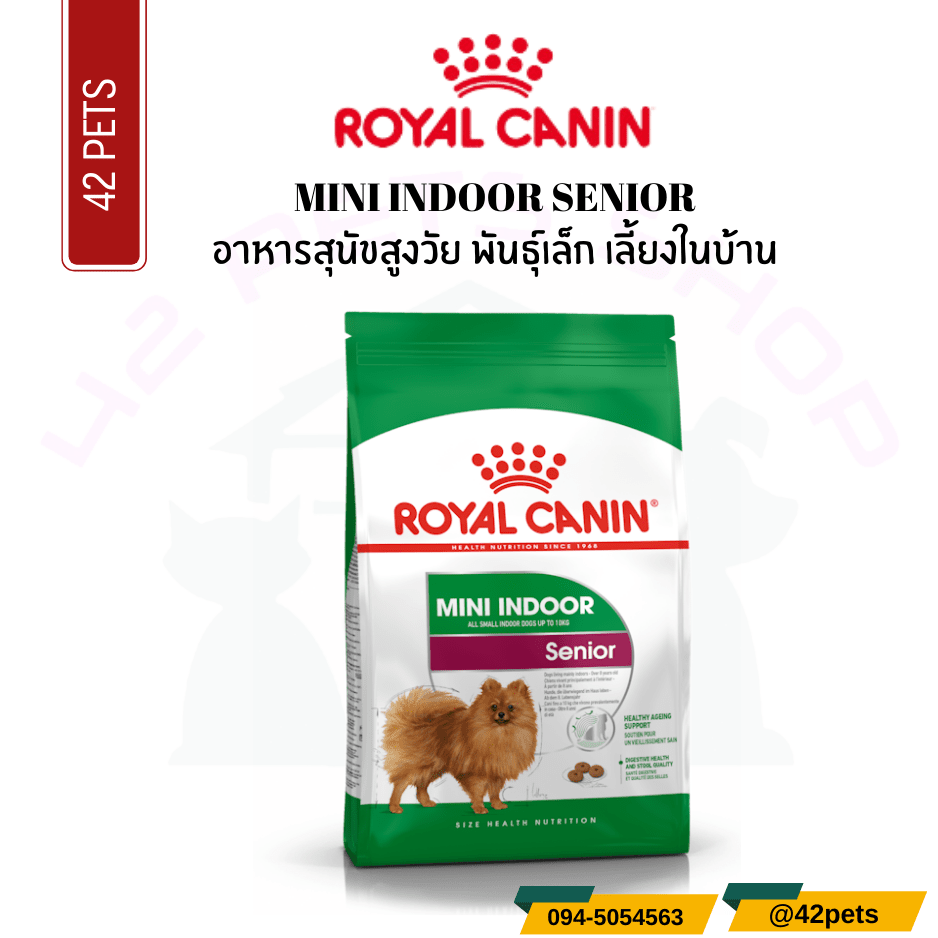Royal Canin Food for Dog อาหารสุนัขสูงวัย พันธุ์เล็ก เลี้ยงในบ้าน ชนิดเม็ด (MINI INDOOR SENIOR)